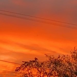 Meet your Posher, Jodi